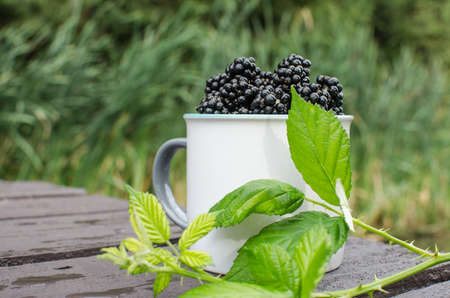 raspberry Shrub 1-2 m tall with annual vegetative shoots and woody biennial stems that form...