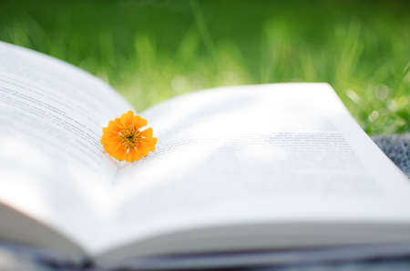 Open book and flowers for a good rest and readingの写真素材