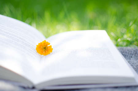 Open book and flowers for a good rest and readingの写真素材