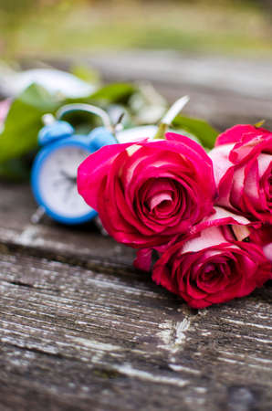 Beautiful fresh roses grow outdoors in the summer for a bouquetの写真素材