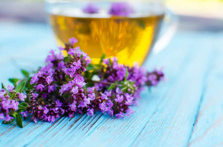 Thyme is a genus of shrubs and semi-shrubs of the labiate family. Homeland are temperate regions of Greenland, Europe, North Africa, Asiaの写真素材