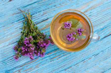 Thyme is a genus of shrubs and semi-shrubs of the labiate family. Homeland are temperate regions of Greenland, Europe, North Africa, Asiaの写真素材