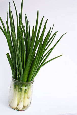 Onions are for flavor and taste for many dishes in the kitchen