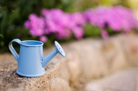 Little watering pot with water and flowers on backgroundの写真素材
