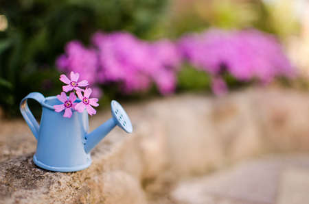 watering can on a flower bed in hot sunny weather, garden equipmentの写真素材