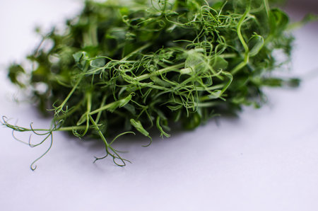 Green peas for healthy diet food and soup or pureeの写真素材