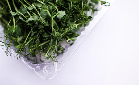 Green peas for healthy diet food and soup or pureeの写真素材