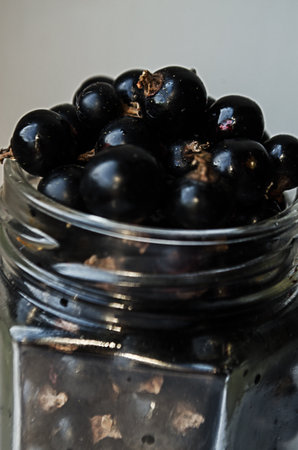 Ripe and juicy currant berries in summer for fresh juice for a good moodの写真素材