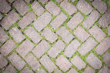 Grass Stone Floor texture pavement designの写真素材