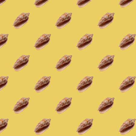 Seashell isolated on yellow background