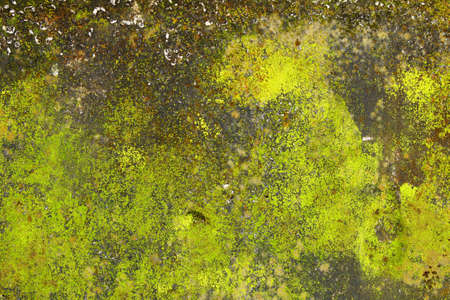 old grunge brick wall and grass                            
