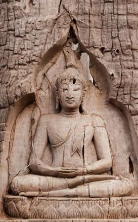  Buddhaの写真素材