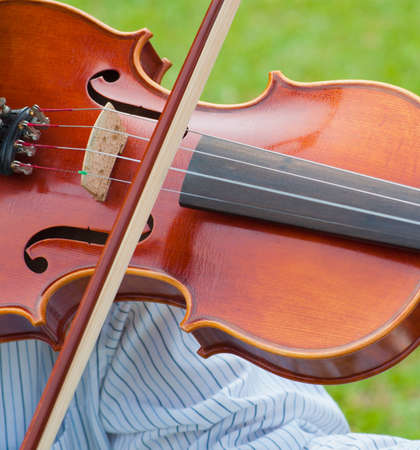 Violinの写真素材