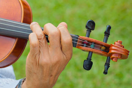 Violin