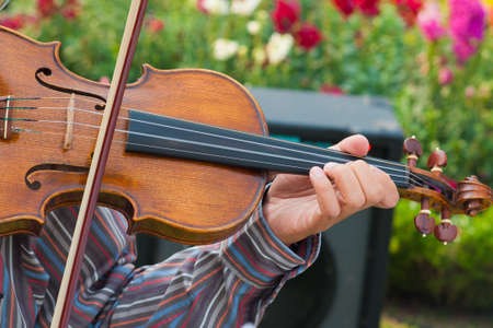 Violinの写真素材