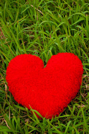 Heartの写真素材