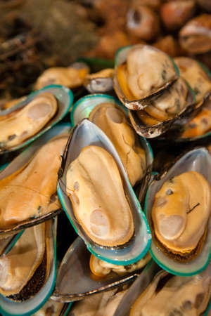 seafood