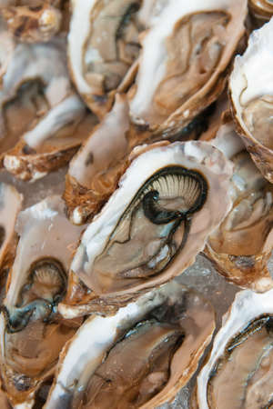 seafoodの写真素材