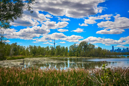 Toronto skyline from Tommy Thompson Parkの写真素材