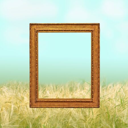 Nature, wheat field and empty frame background