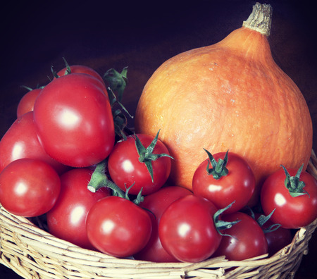 Harvesting on end summer, ripe cherry tomatoes and Hokkaido pumpkinの写真素材