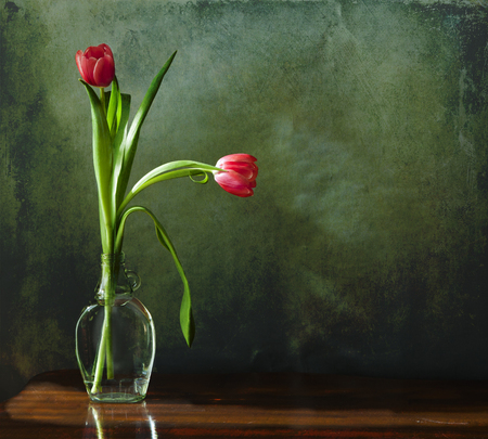 Grunge still lifel two red tulip in a glass bottle on a wooden table against a green wallの写真素材