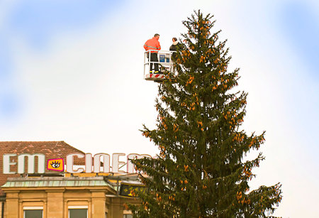 STUTTGART, GERMANY. Christmas time, two workers are ready to prepare a huge trtaditional tree on Schlossplatz in Stuttgartのeditorial素材