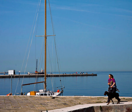 Trieste, Italy -  Woman walks with her dog on Trieste waterfront, called Le Rive,  with the view of Molo Audace pierのeditorial素材