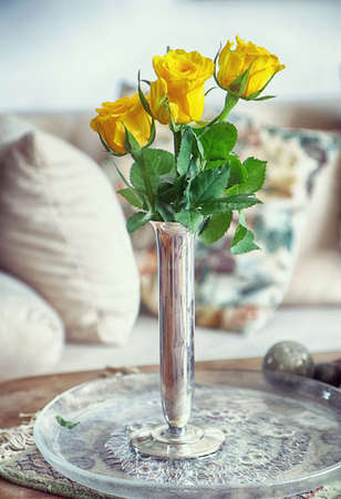 Yellow blossoms of rose in a silver vase, interior still life, soft focus with blurred backgroundの写真素材