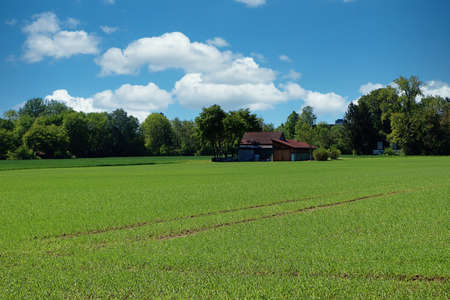 Rural Bavaria landscape in springtime: farm surrounded by green cultivated fields, a near wood, blue...