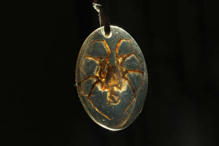 Spider  Necklaceの写真素材