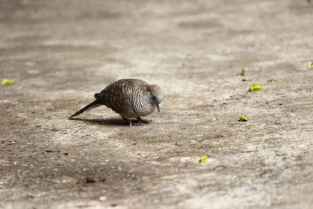 Looking in yourselfの写真素材