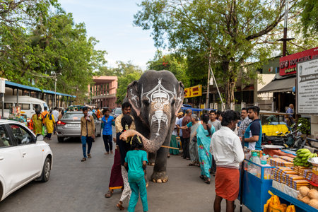 This image is from Palani City, State Tamil Nadu Country India, on 11th June 2023. The elephant is a symbol of strength and power, and its presence in the street is a reminder of the rich cultural heritage of India.のeditorial素材