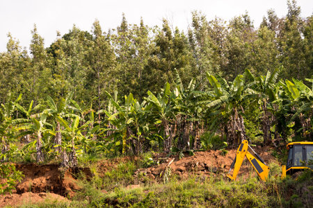 A backhoe loader stretches across the landscape under a bright day sky. The backhoe is a powerful machine that can be used for a variety of tasks, such as construction, agriculture, and landscaping. The bright day sky provides a beautiful backdrop for the backhoe, and the overall image is one of strength and power.の写真素材