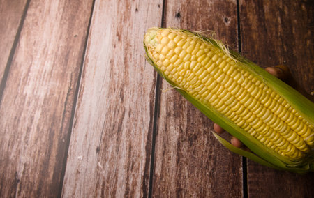 Fresh corn on the cob in hand on wooden background, top viewの写真素材