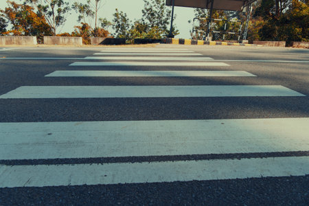 This image captures a pedestrian crosswalk on a quiet road, with white stripes painted on the asphalt.の写真素材