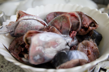 Fresh mackerel fish in a white bowl, closeup of photoの写真素材