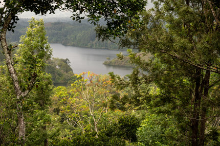 Tropical forest and lake view