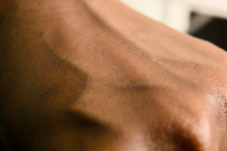 A detailed view of a hand highlighting the unique texture of the skin in natural lighting.の写真素材