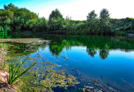 River with clear water and marshy banks in which the bushes and blue sky are reflectedの写真素材