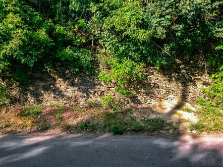 An old stone wall overgrown with green bushes and trees in front of an asphalt roadの写真素材