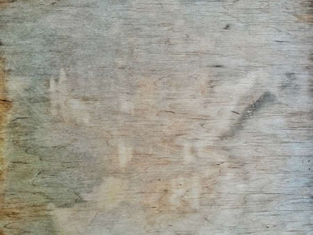 Wood texture background surface with natural pattern for design and decorationの写真素材