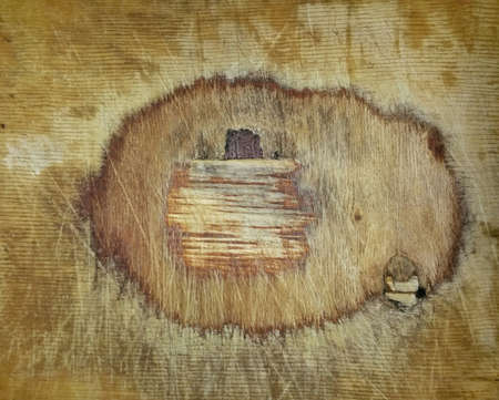 Wood texture background surface with natural pattern for design and decorationの写真素材