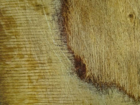 Wood texture background surface with natural pattern for design and decorationの写真素材