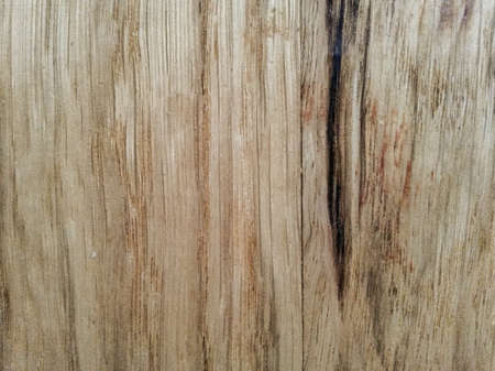Wood texture background surface with natural pattern for design and decorationの写真素材