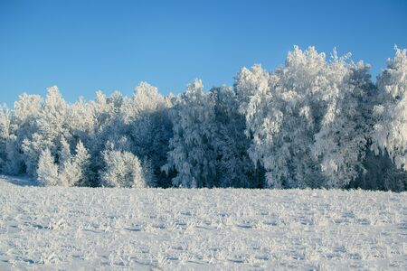 winter outfitの写真素材