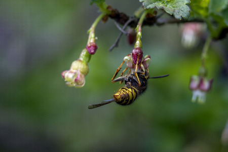 breakfastの写真素材