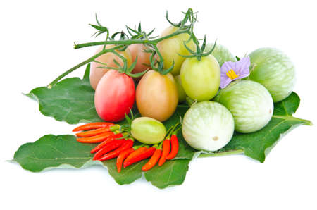 Eggplant , Chilli and Tomatoes on leaf isolate white .の写真素材