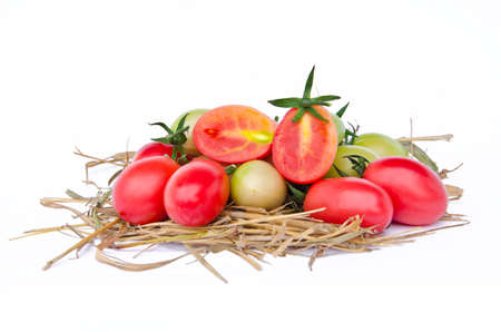 Tomatoes style  Lycopersicon exculentum Mill isolated on white backgroundの写真素材
