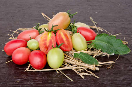 Tomatoes style  Lycopersicon exculentum Millの写真素材